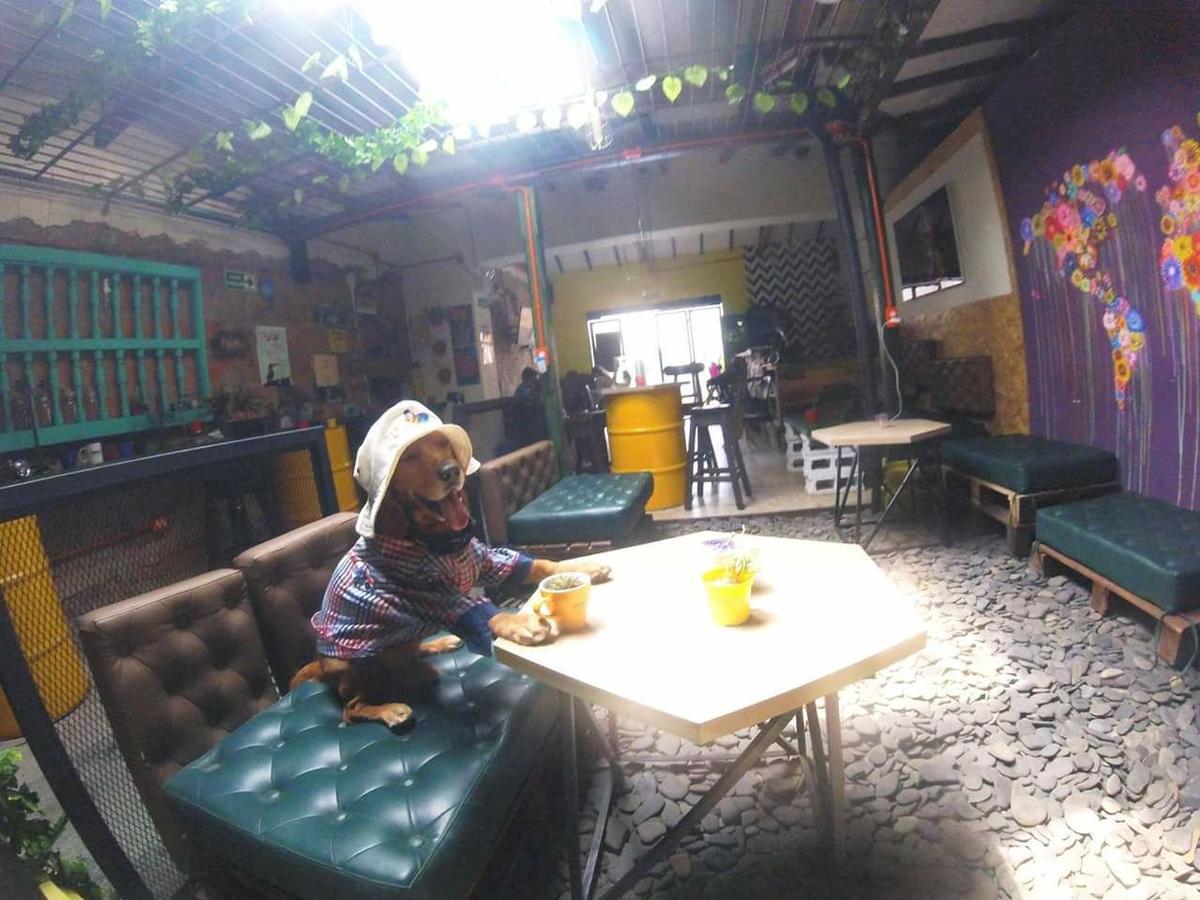 Panela Medellin Ostello Esterno foto