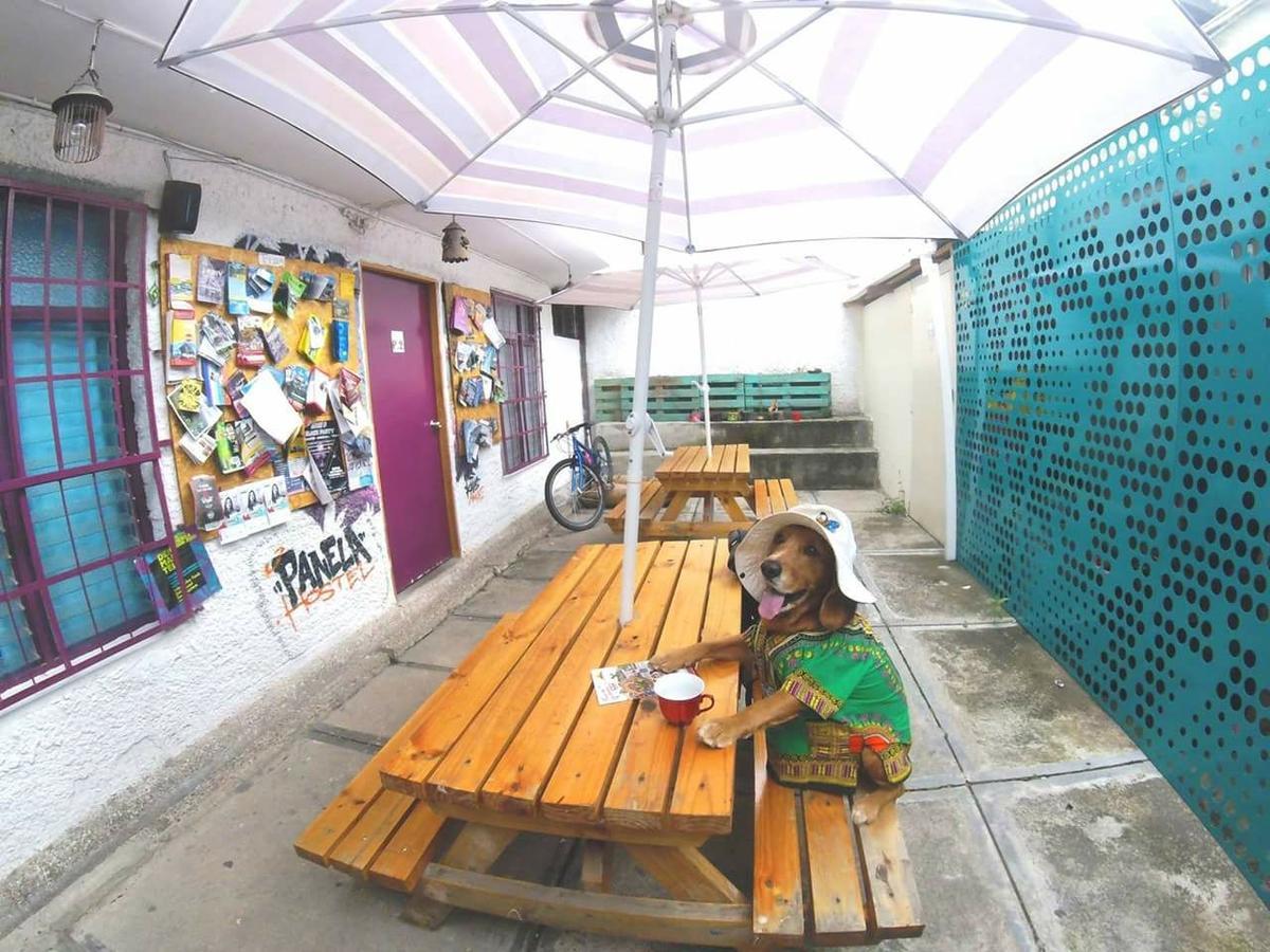 Panela Medellin Ostello Esterno foto